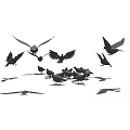 Flock of Flying Pigeons Some in Flight and Others on Ground