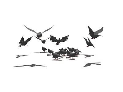 Flock of Flying Pigeons Some in Flight and Others on Ground 3d model