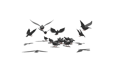 Modern Pigeon Animals 3d model