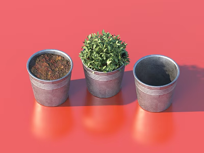Green Plant Growing in Metal Pot With Two Empty Soil Pots on Red Background 3d model
