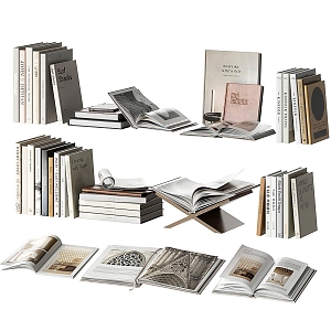 Modern Books Book Ornaments Book Ornaments Book Ornaments Books and Periodicals Decoration Soft Accessories Furnishings 3d model