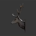 Brown Deer Head Animal Wall Decor with Large Antlers for Home Decoration