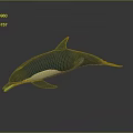 Swimming Blue And White Dolphin With Streamlined Body Against Gray Background 3d model