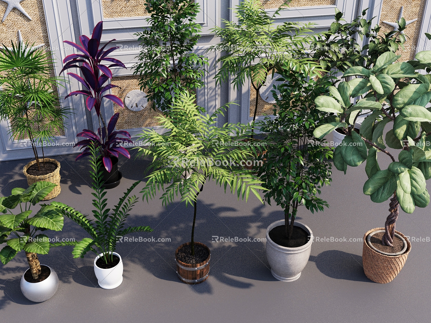 Bonsai Bonsai Bonsai Indoor Plants Decorative Plants Bonsai Green Plants Greening Plants 3d model