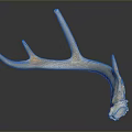 Antler Weapon Handcrafted Primitive Hunting Tool With Natural Curved Design