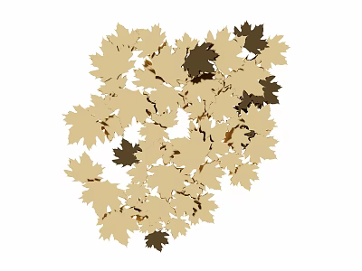 Heart Shaped Wall Decor Made of Maple Leaves in Beige and Dark Brown 3d model