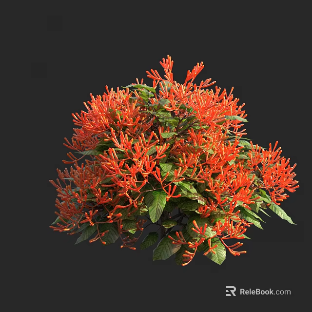 Lush Shrub With Vibrant Orange Flowers And Green Leaves In Garden 3d model 