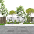 Modern Scenic Feature Wall Design With Green Plants Trees And Stone Pavement