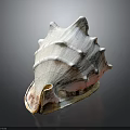 Conch Shell With Spiral Shape Pointed Edges Pink White Textured Surface On Dark Reflective Background 3d model