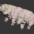 Pink Tardigrade Model With Wrinkled Body And Green Accents On Dark Surface