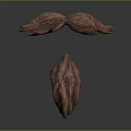 Brown Textured Organ and Hair Like Structures with Symmetrical Design on Gray Background