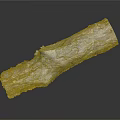 Weathered Wooden Log With Green Moss Growth And Metallic Surface Texture