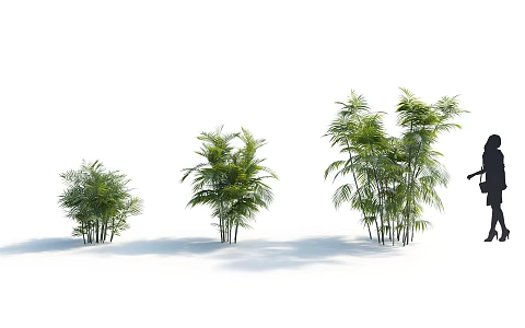 Modern Brown Bamboo Coconut Plant 3d model