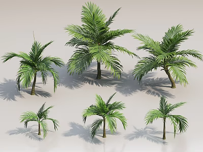 Different Sizes of Palm Trees with Green Leaves and Shadows on Light Background 3d model