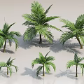 Different Sizes of Palm Trees with Green Leaves and Shadows on Light Background