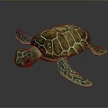 Turtle Cartoon Turtle Snapping Turtle Chickbill Turtle Reptile Cold Blooded Animal Reptile Class 3d model