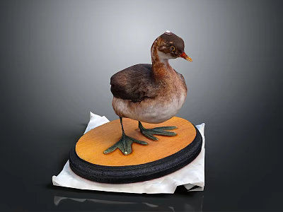 Small Brown Water Bird Model Standing On Orange Black Base With White Cloth 3d model