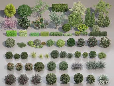 Various Types of Shrubs for Garden Landscaping with Different Shapes Sizes and Foliage Colors 3d model