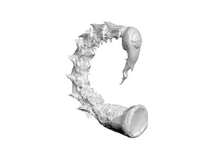 The Modern Tail 3d model