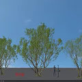 Three Arbor Trees In Design Rendering With Blue Sky White Clouds And Tile Ground 3d model
