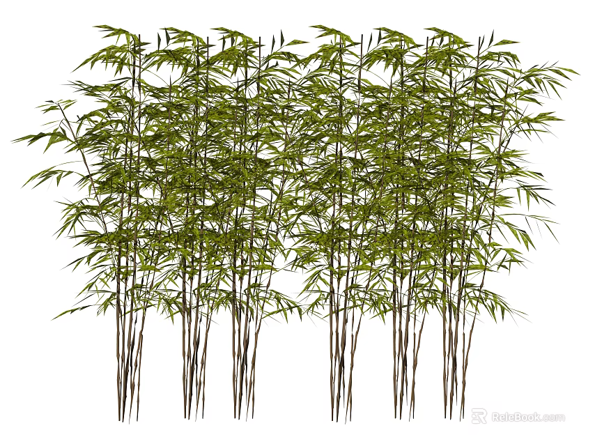 Lush Green Bamboo Plants With Tall Stems And Fresh Leaves In Natural Garden 3d model 