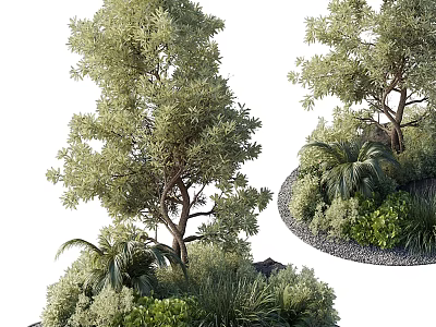 Lush Evergreen Arbor Surrounded By Palms Shrubs And Natural Greenery 3d model