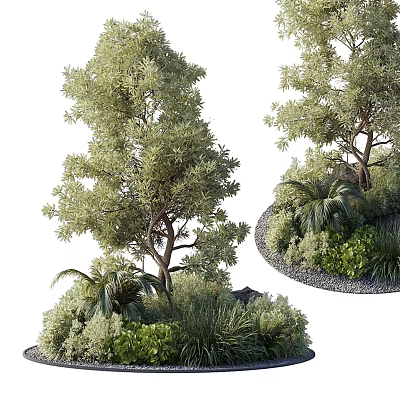 Lush Evergreen Arbor Surrounded By Palms Shrubs And Natural Greenery 3d model