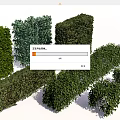 Different Types Of Trimmed Green Shrubs In Various Shapes For Garden Landscaping