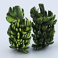 Two Bunches Of Fresh Green Bananas Placed On White Background For Fruit