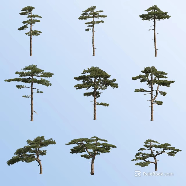 Multiple Arbor Trees With Various Shapes Against Clear Blue Sky 3d model 