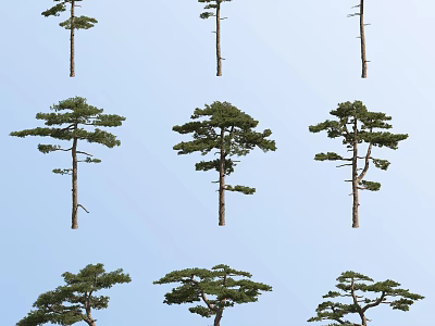 Multiple Arbor Trees With Various Shapes Against Clear Blue Sky 3d model