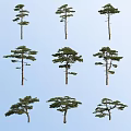 Multiple Arbor Trees With Various Shapes Against Clear Blue Sky 3d model