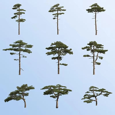 Multiple Arbor Trees With Various Shapes Against Clear Blue Sky 3d model