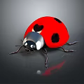 Ladybug With Red Back Black Spots Silver Head And Black Legs On Dark Reflective Surface