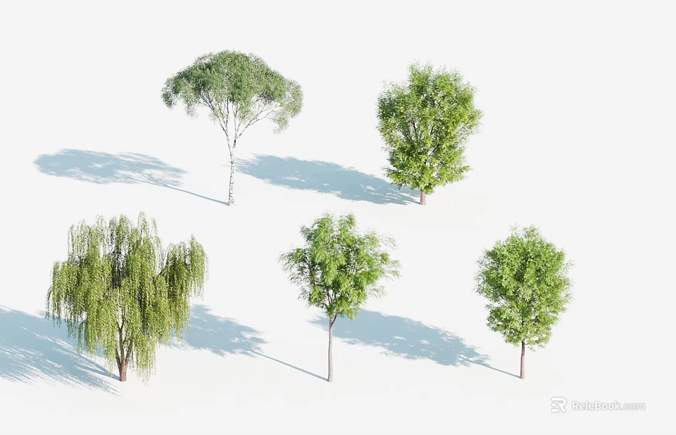 Various Arbor Trees With Different Green Foliage Shapes And Natural Shadows 3d model 