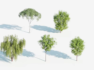 Various Arbor Trees With Different Green Foliage Shapes And Natural Shadows 3d model