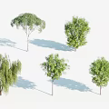 Various Arbor Trees With Different Green Foliage Shapes And Natural Shadows 3d model