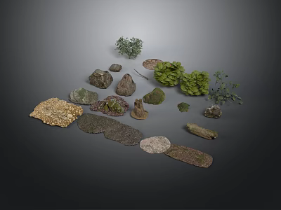 Various Natural Wood And Stone Samples With Green Plants Collection 3d model