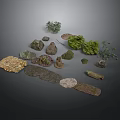 Various Natural Wood And Stone Samples With Green Plants Collection