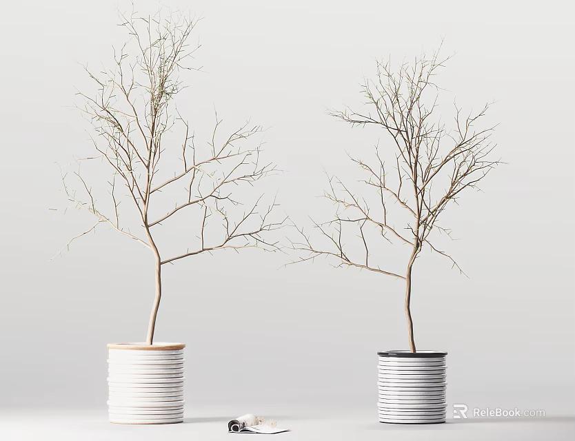 Two Bonsai Plants with Bare Branches in Striped Pots on Minimalist Background 3d model 