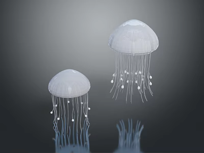 Two Transparent Jellyfish with Long Glowing Tentacles Gracefully Floating Underwater 3d model