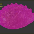 Shiny Aquatic Animal Shell With Rough Brownish Red Texture Protrusions And White Spots