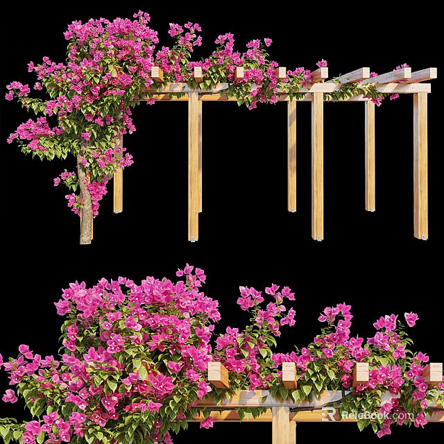 Outdoor Garden Pergola Adorned With Pink Flowers And Green Leaf Climbing Vines 3d model 
