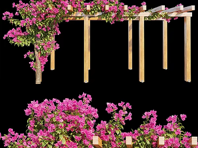 Outdoor Garden Pergola Adorned With Pink Flowers And Green Leaf Climbing Vines 3d model
