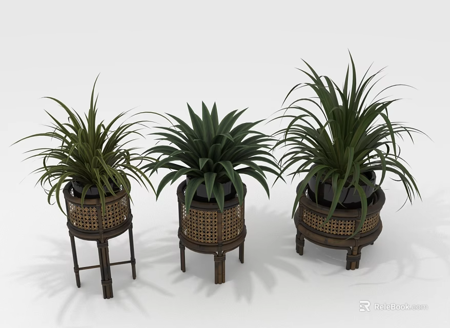 Three Potted Plants on Decorative Wooden Stands with Rattan Accents for Home Decor 3d model 