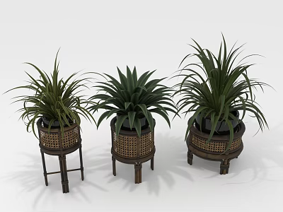Three Potted Plants on Decorative Wooden Stands with Rattan Accents for Home Decor 3d model