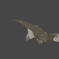 Realistic T Rex Dinosaur Model With Open Mouth And Sharp Teeth 3d model