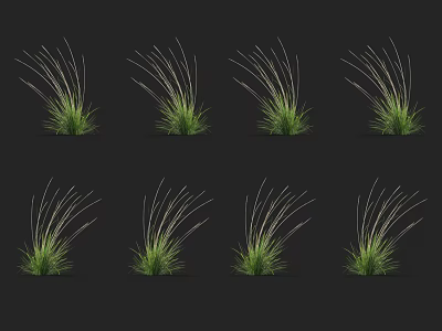 Green Grass With Slender Leaves Multiple Plants Arranged On Dark Background 3d model