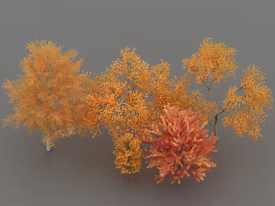 Autumn Deciduous Trees With Vibrant Orange And Red Foliage 3d model