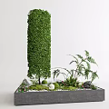 Elegant Indoor Landscape With Columnar Shrub Fern Plants Gray Planter And Moss